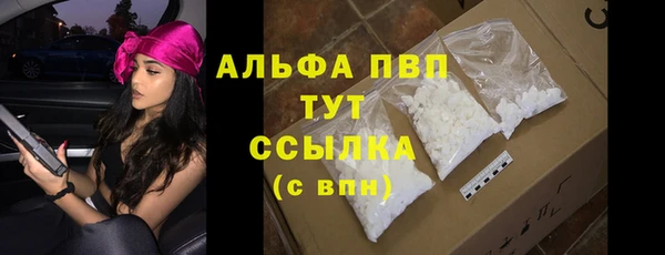 дживик Краснослободск