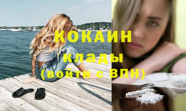 дживик Краснослободск