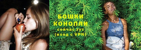 дживик Краснослободск