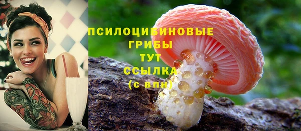дживик Краснослободск
