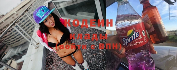 дживик Краснослободск