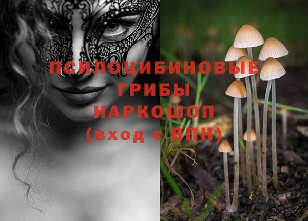 ECSTASY Красноперекопск
