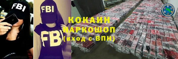 дживик Краснослободск