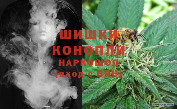 дживик Краснослободск