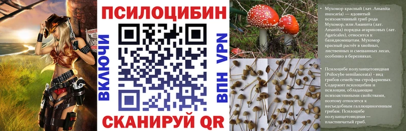 Псилоцибиновые грибы мицелий  мориарти телеграм  Хабаровск 